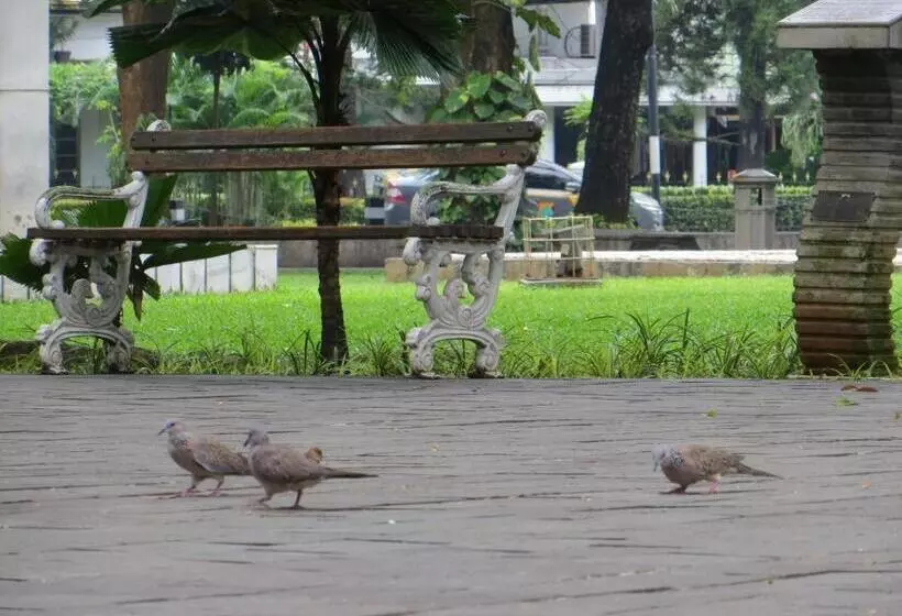 Fotos del hotel Grand Cemara:  9