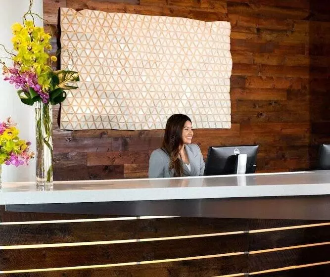 Fotos del hotel Canvas  Dallas:  15