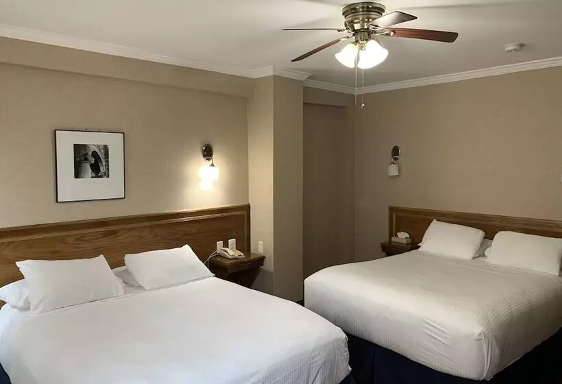 Fotos del hotel The Baron:  16