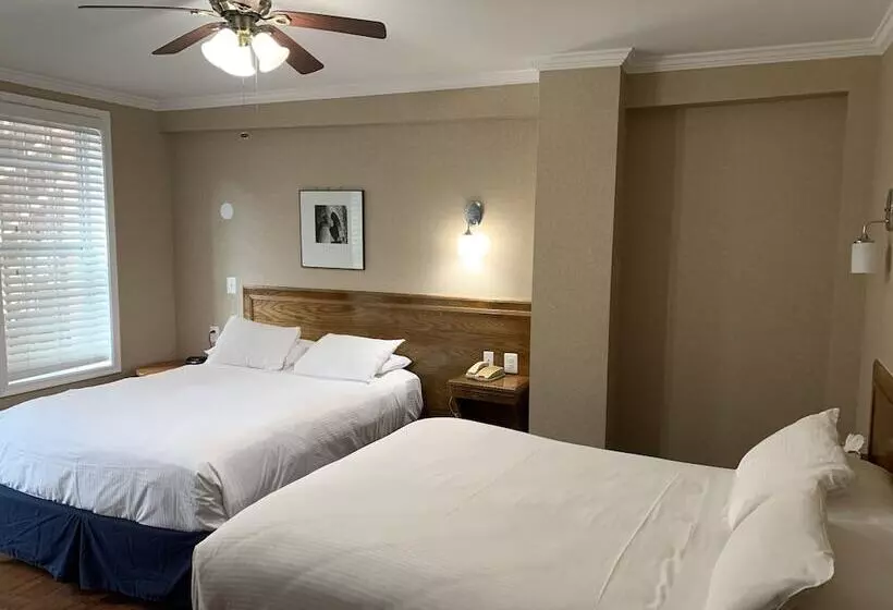 Fotos del hotel The Baron:  11