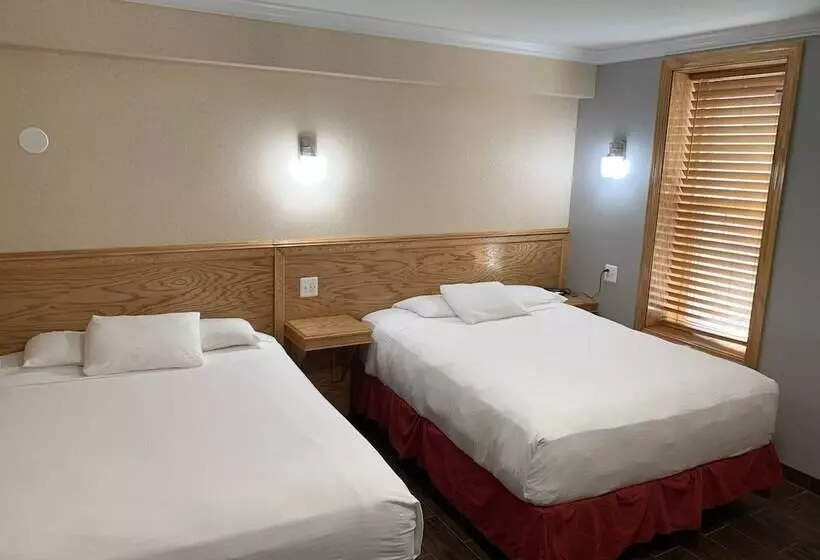 Fotos del hotel The Baron:  10