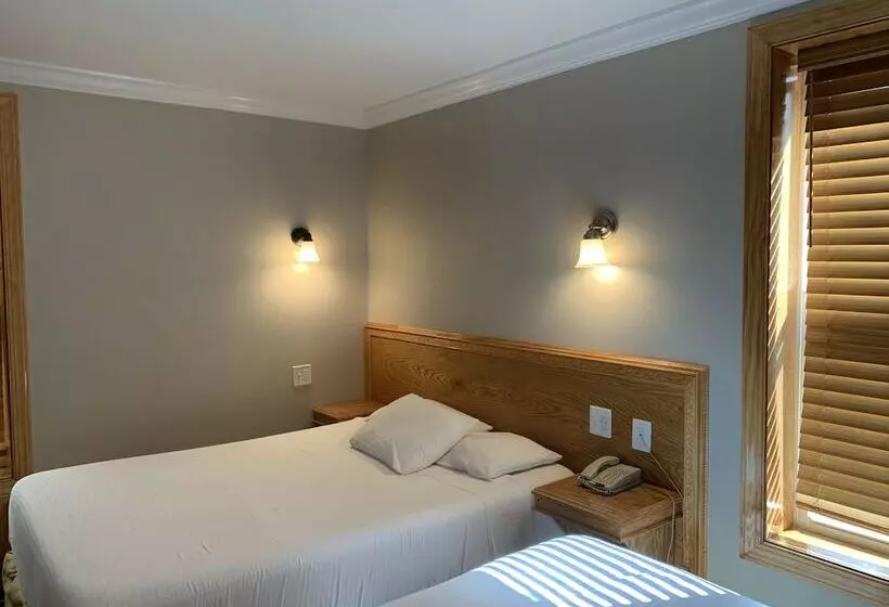 Fotos del hotel The Baron:  9