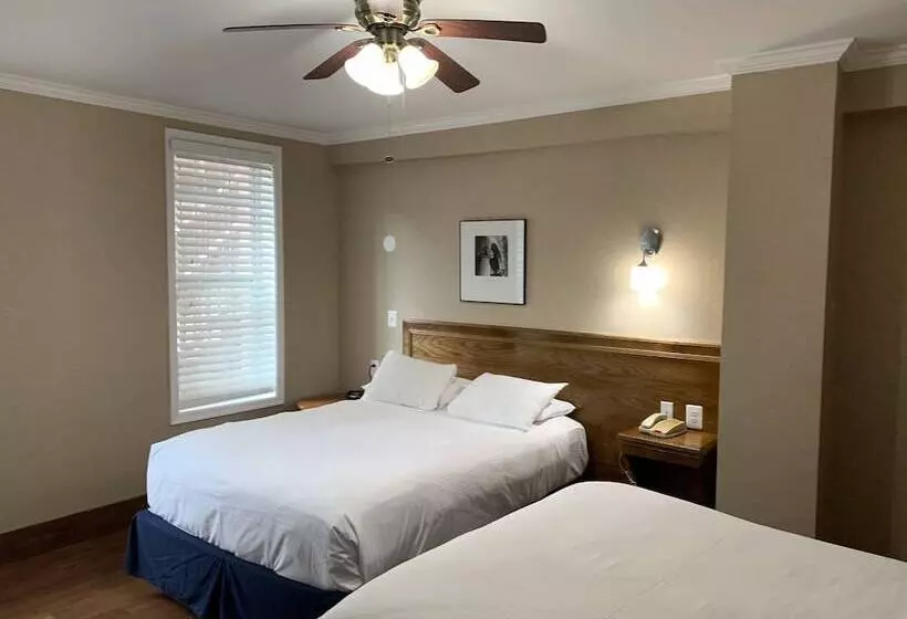 Fotos del hotel The Baron:  12