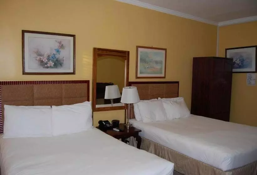 Fotos del hotel The Baron:  21