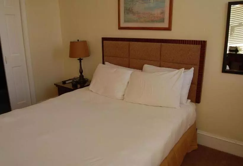 Fotos del hotel The Baron:  5