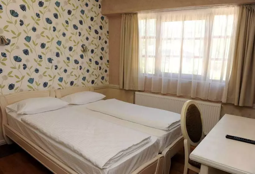 Fotos del hotel Centar Balasevic:  8