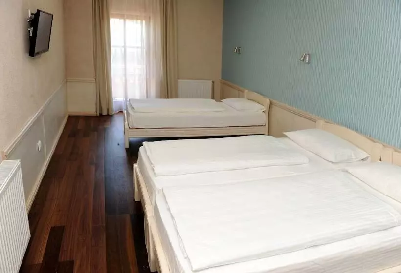 Fotos del hotel Centar Balasevic:  17