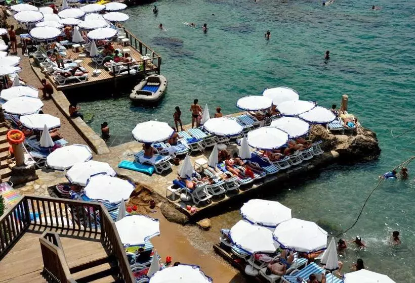 Fotos del hotel Elegance East:  24