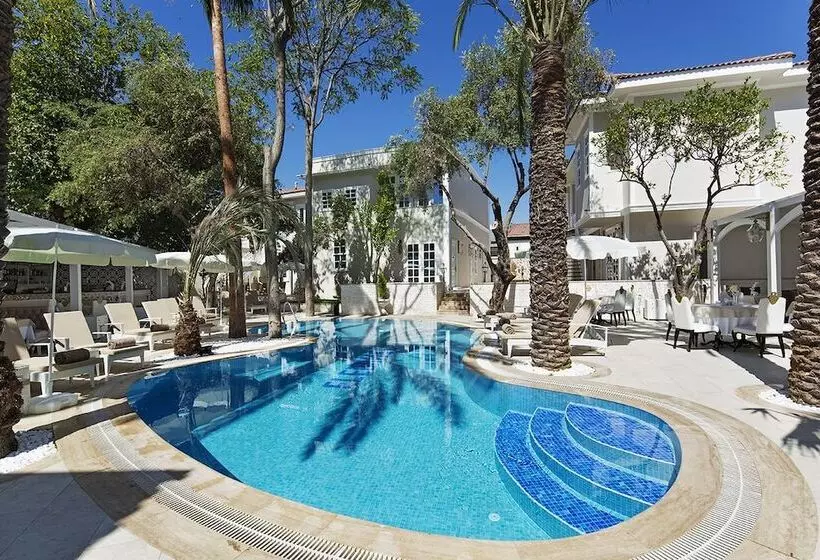 Fotos del hotel Elegance East:  9