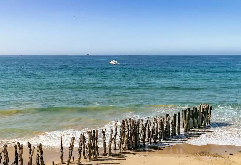 Fotos del hotel Hôtel Le Nouveau Monde:  8