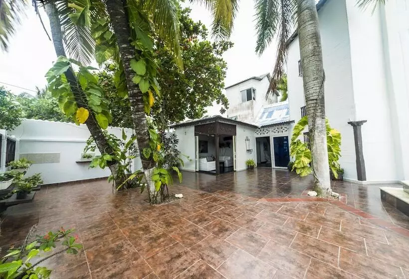 Fotos del hotel Auaecoco:  15