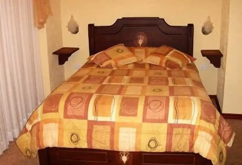 Fotos del hotel Catedral Internacional:  17