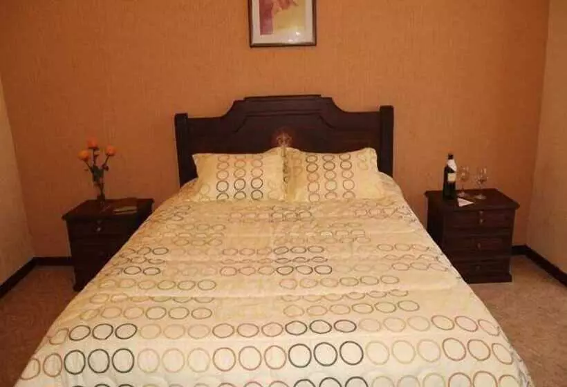 Fotos del hotel Catedral Internacional:  12