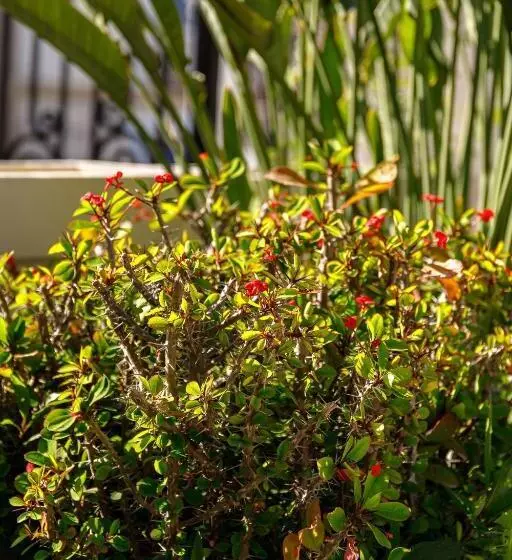 Fotos del hotel Creta Elena:  4