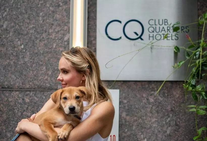 Fotos del hotel Boutique At Grand Central:  6