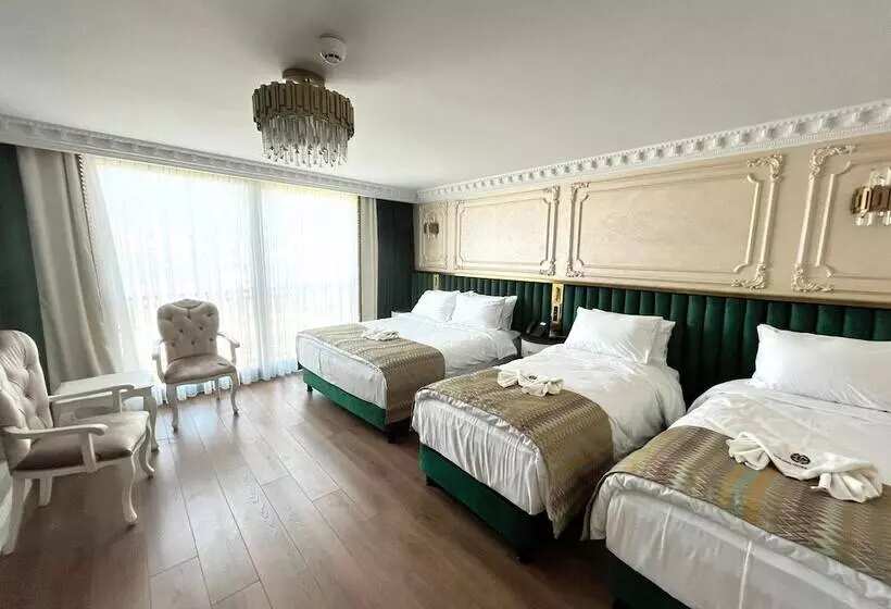 Fotos del hotel Golden Horn Istanbul:  6