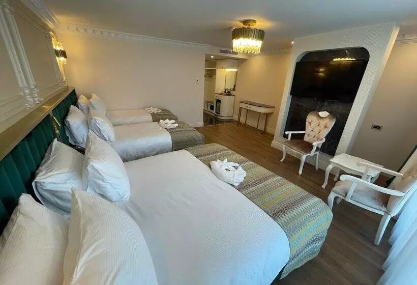 Fotos del hotel Golden Horn Istanbul:  22