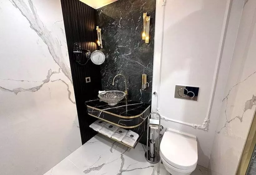 Fotos del hotel Golden Horn Istanbul:  4
