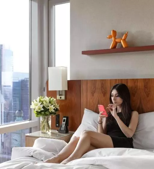 Fotos del hotel Hyatt Centric Times Square New York:  25