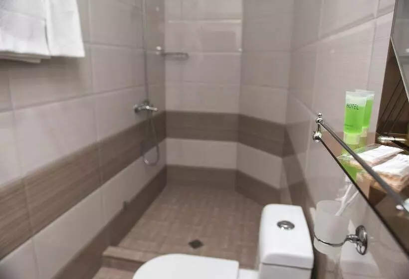 Fotos del hotel Capital:  17