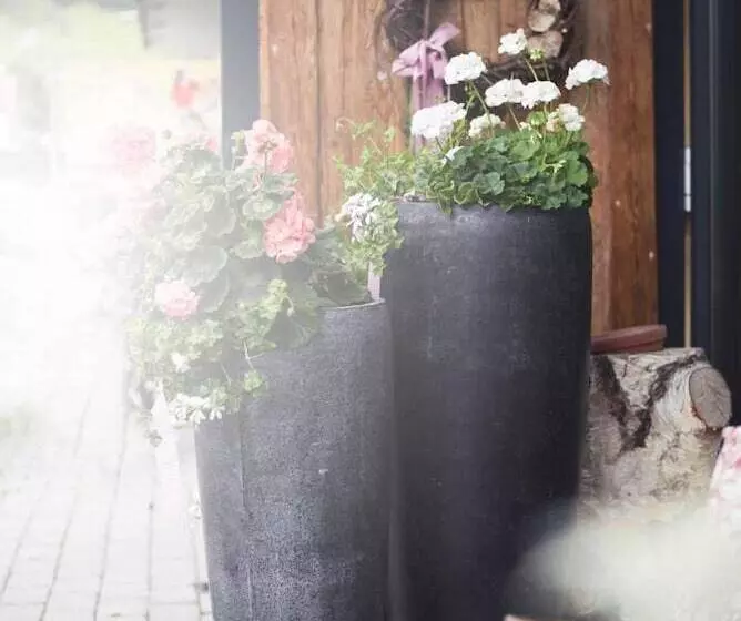 Fotos del hotel Ski Galzig:  12