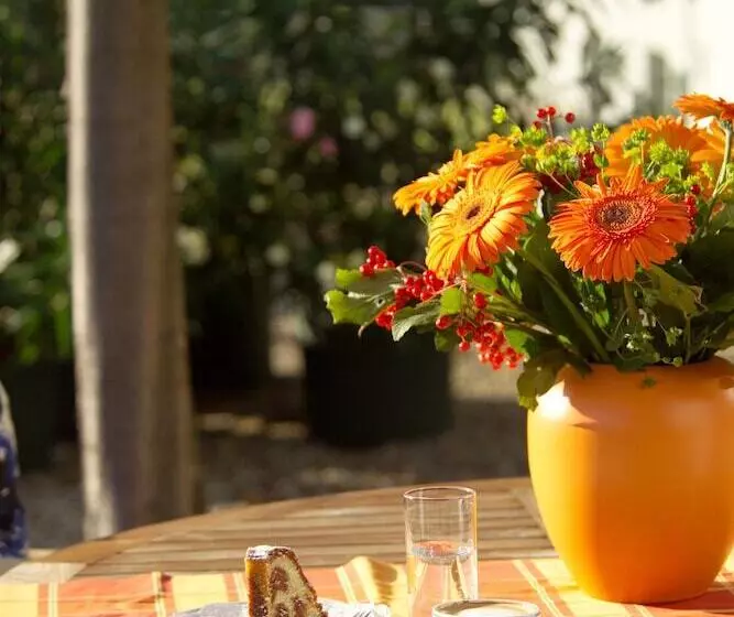 Fotos del hotel Strandhotel Alte Donau:  5