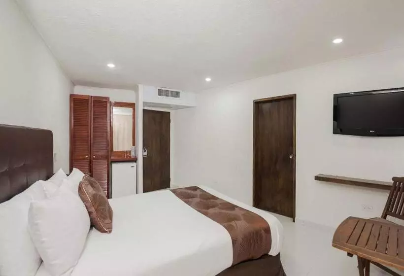 Fotos del hotel Calypso Beach:  23