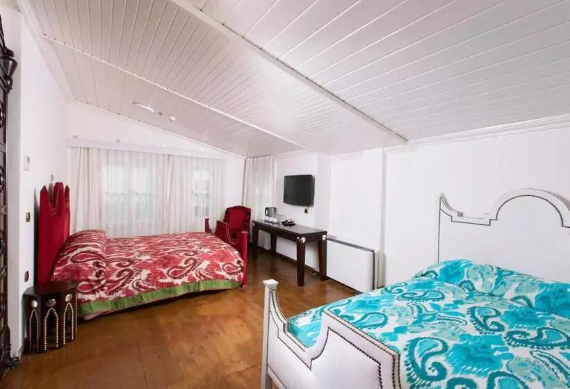 Fotos del hotel Premist S Sultanahmet:  15