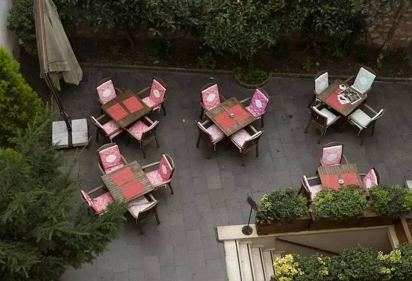 Fotos del hotel Premist S Sultanahmet:  6