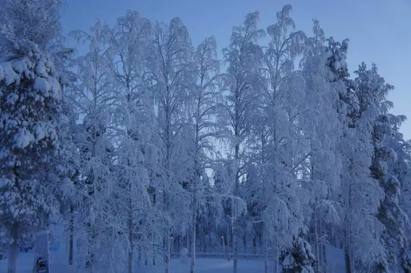 Fotos del hotel Santa Claus Holiday Village:  15