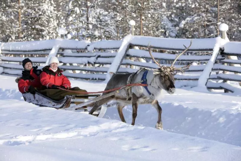 Fotos del hotel Santa Claus Holiday Village:  4