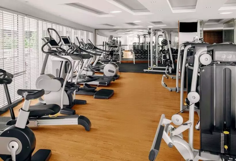 Fotos del hotel Novotel Dubai Al Barsha:  6