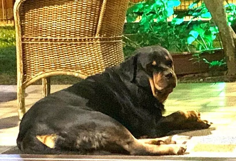 Fotos del hotel Beach House Floripa:  13