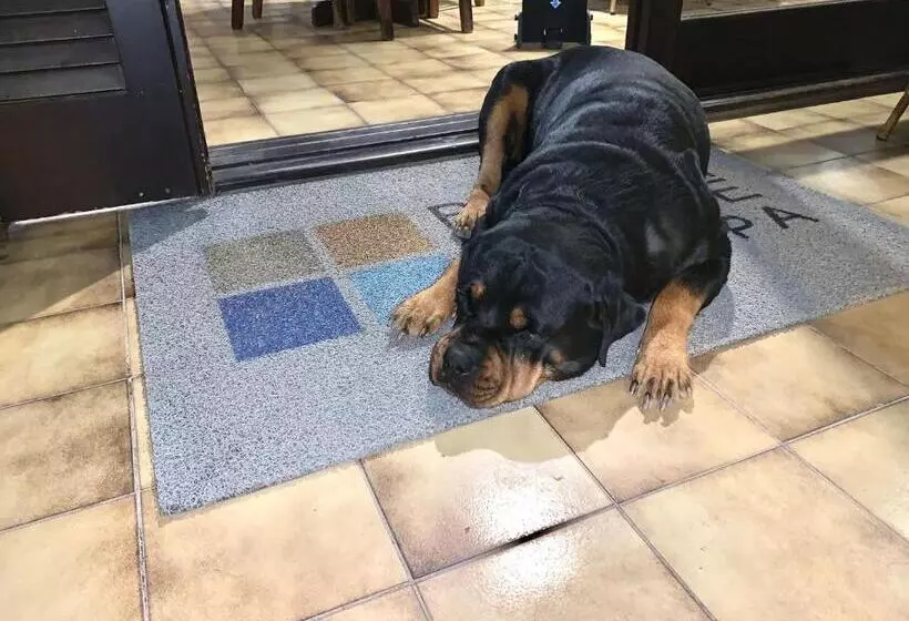 Fotos del hotel Beach House Floripa:  7