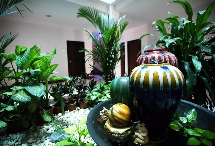 Fotos del hotel Pattara Place:  25