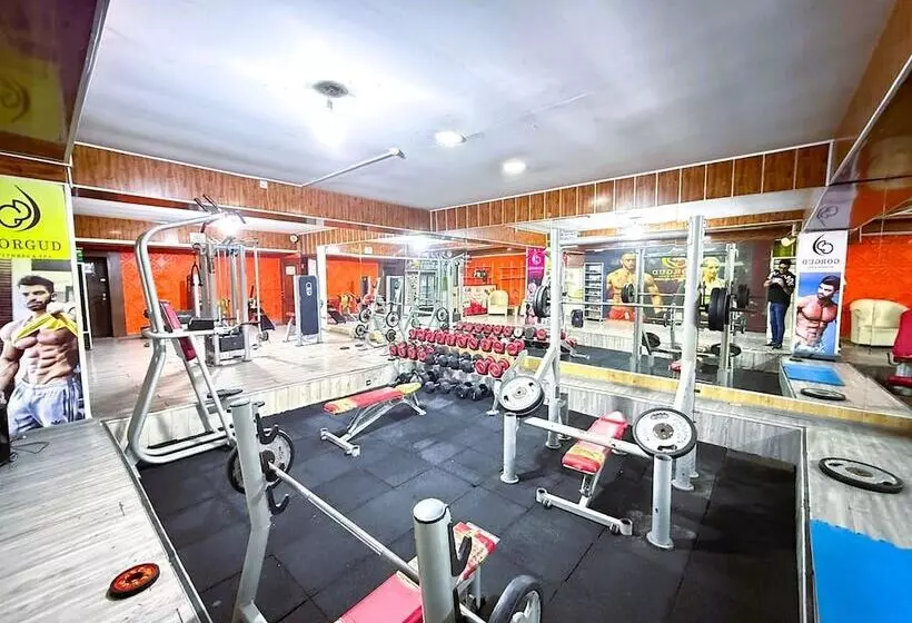 Fotos del hotel Golden Falcon:  3