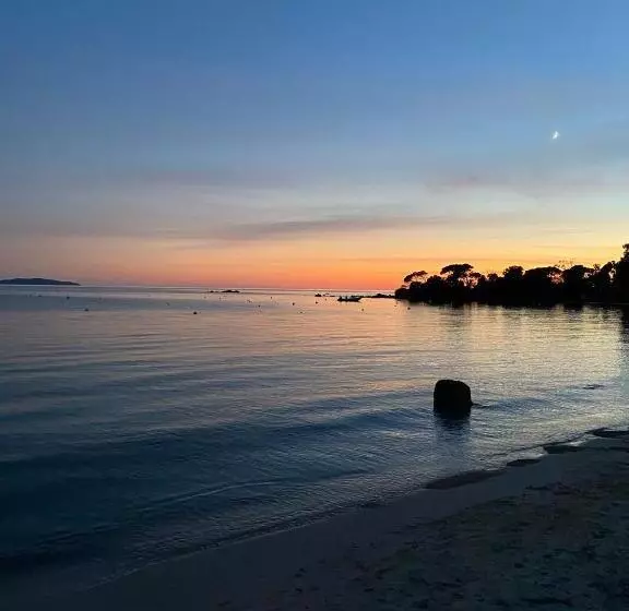 Fotos del hotel Palm Beach:  6