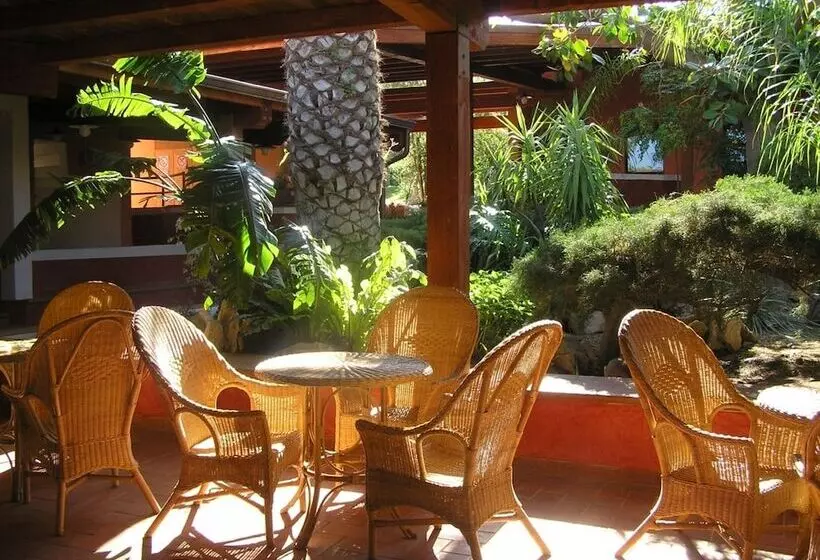 Fotos del hotel Free Beach Club:  16