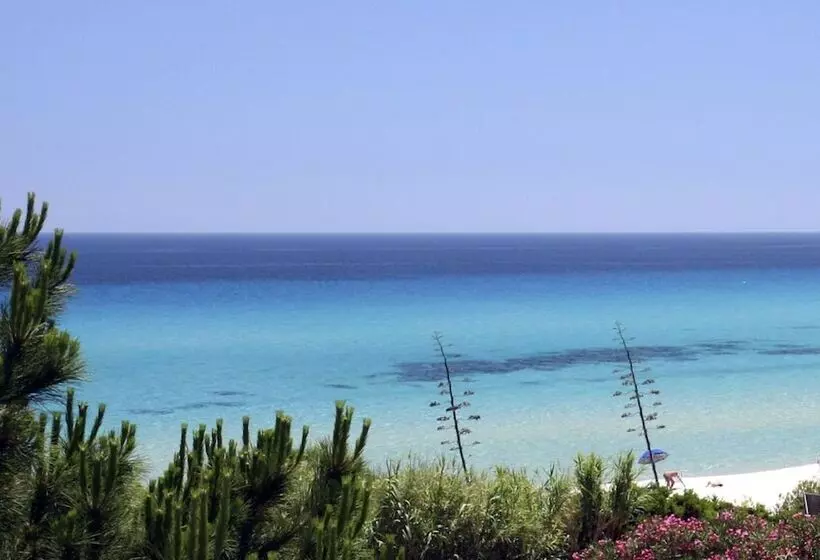 Fotos del hotel Free Beach Club:  17