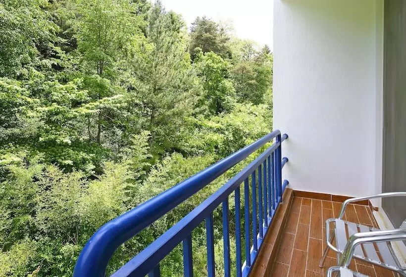 Fotos del hotel Benikea Swiss Rosen:  10