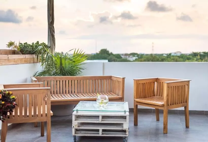 Fotos del hotel Soho Playa:  4