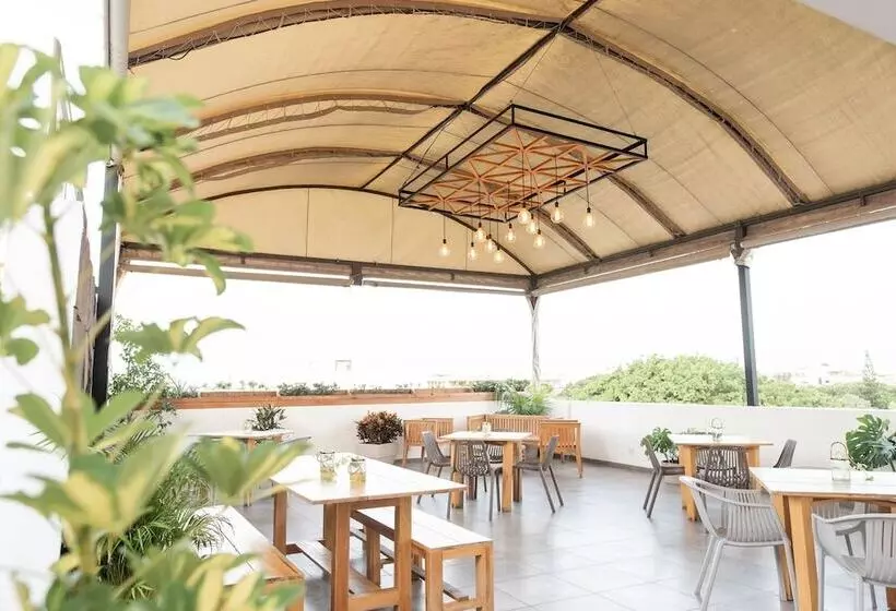 Fotos del hotel Soho Playa:  14