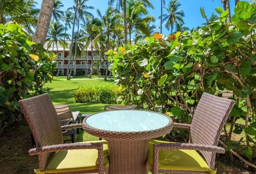 Fotos del hotel Barceló Bávaro Beach - Adults Only - All Inclusive:  60