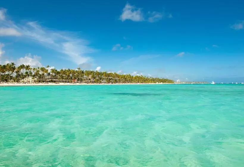 Fotos del hotel Barceló Bávaro Beach - Adults Only - All Inclusive:  71