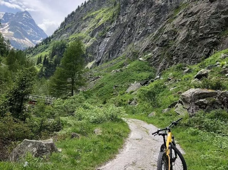 Fotos del hotel Lindenhof:  22