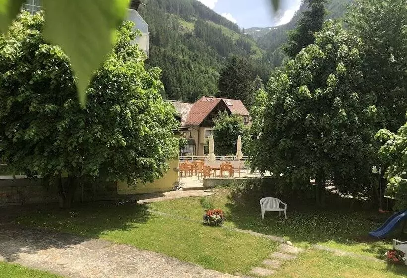 Fotos del hotel Lindenhof:  15