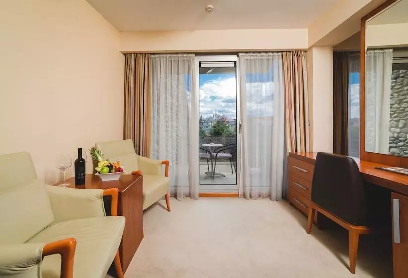 Fotos del hotel Podgorica:  23