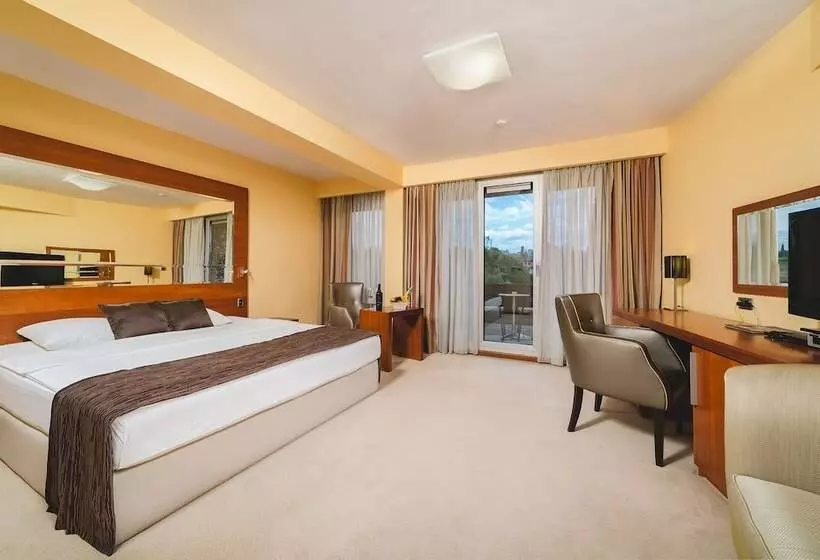 Fotos del hotel Podgorica:  22