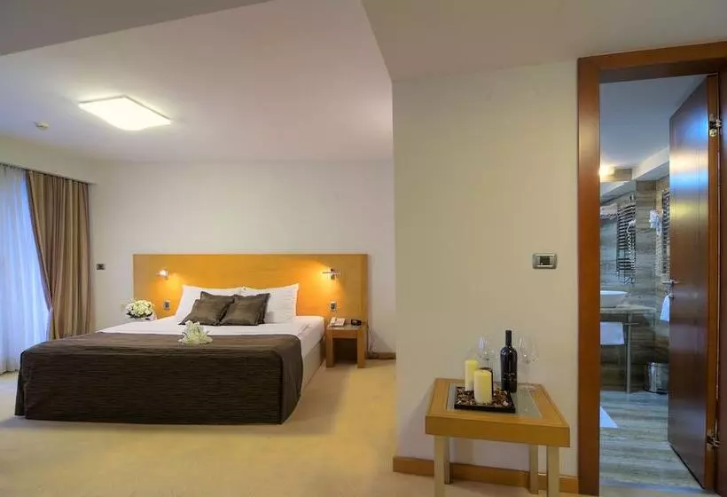 Fotos del hotel Podgorica:  11