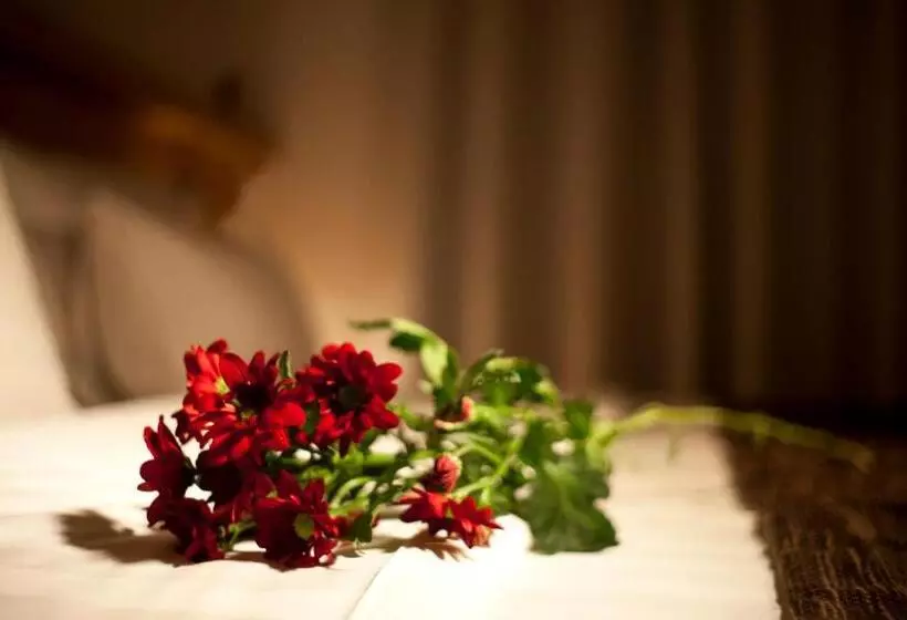 Fotos del hotel Dahlia Inn:  4